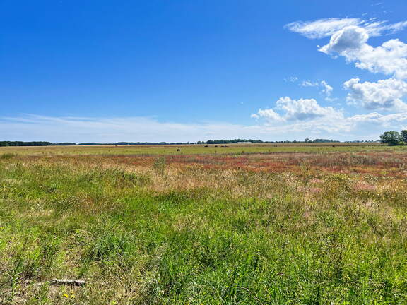 24-07-01 11-02-50 0049